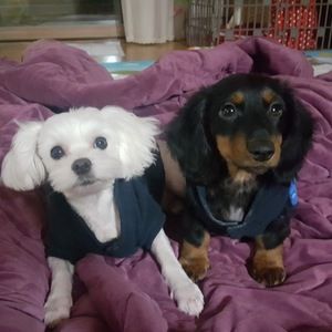 Meet your Posher, Lydia